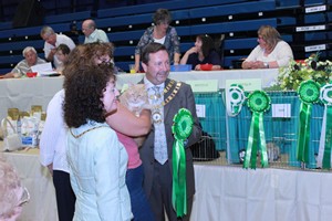 Wiltshire & District Cat Club Show 2009 Pictures by Paul Marshall